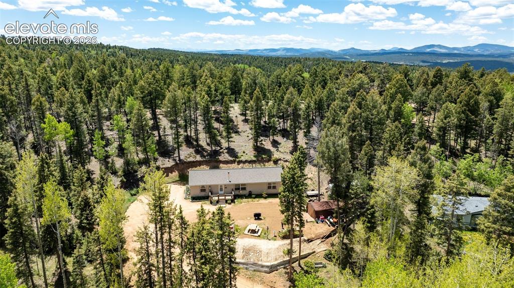 Image 31 of 36: Ranch-style residence nestled among mature evergreen trees