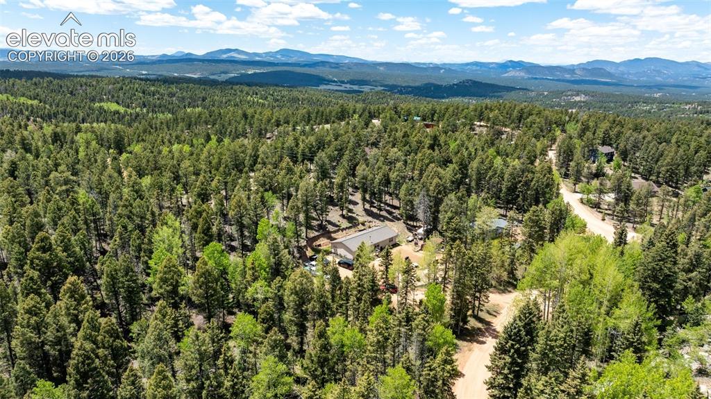Image 32 of 36: Expansive wooded property featuring a single-story residence, surrounded by