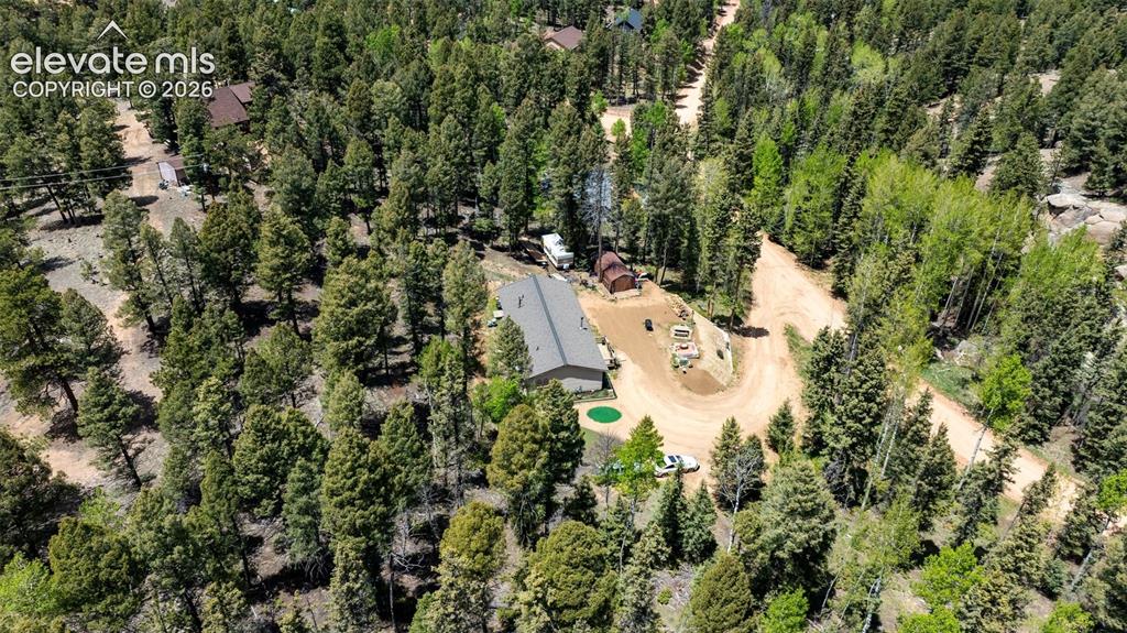Image 33 of 36: Extensive wooded property with a gravel drive, a single-story residence fea