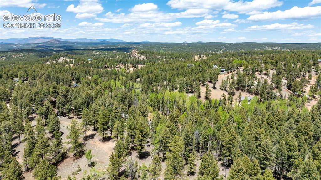 Image 34 of 36: Expansive wooded landscape featuring mature evergreen and deciduous trees,
