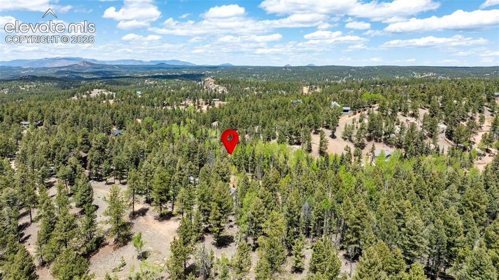 Image 36 of 36: Extensive wooded acreage with varied tree species, rolling topography, and
