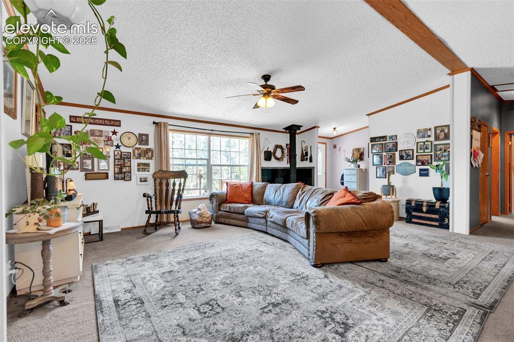 Image 5 of 36: Spacious living area featuring carpet flooring, a ceiling fan, and a large