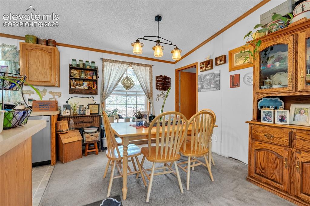Image 7 of 36: Dining area featuring a central window, carpeted flooring, and a multi-ligh