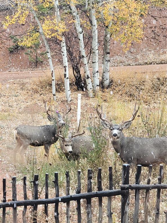 Image 29 of 50: View