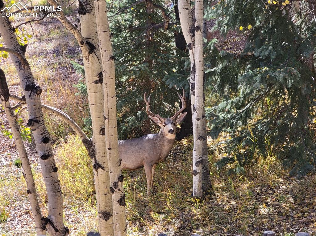 Image 30 of 50: Other