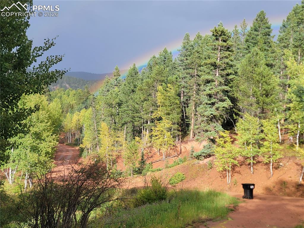 Image 32 of 50: Other