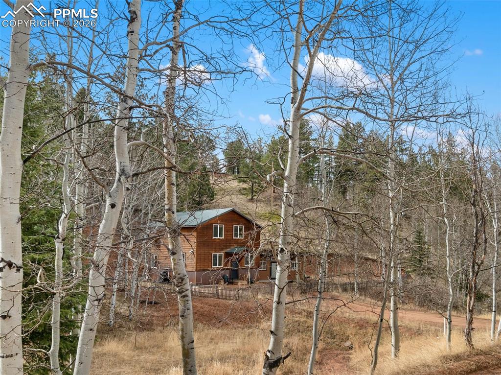 Image 41 of 50: Other