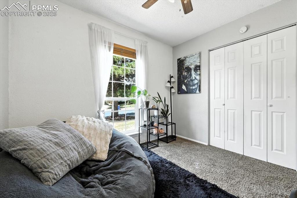 Image 23 of 43: Carpeted Bedroom #3 with ceiling fan, and upgraded six panel closet door.