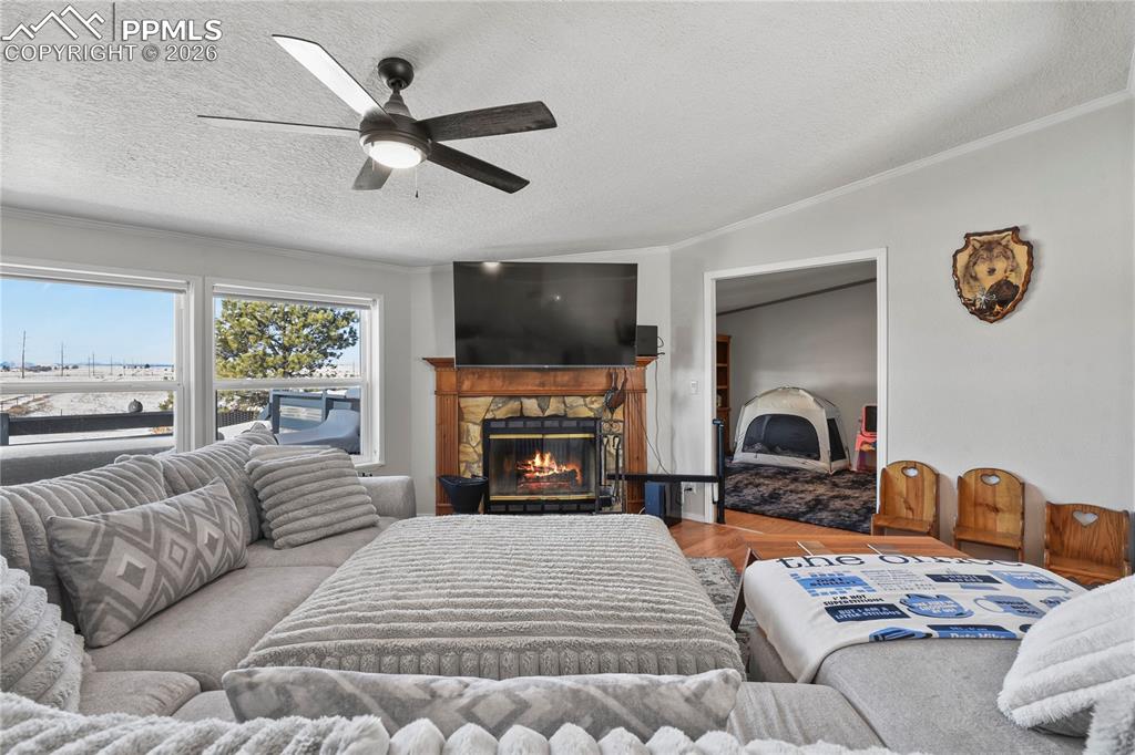 Image 9 of 50: Living Room