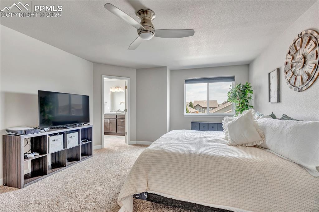 Image 16 of 33: No Description Available