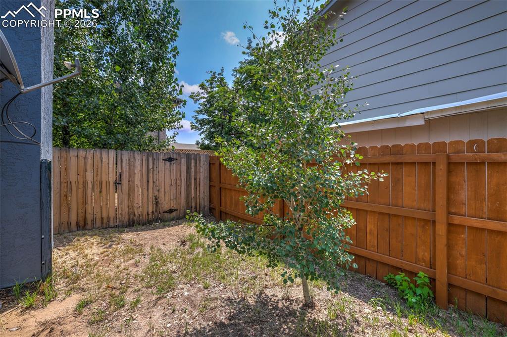 Image 38 of 41: Yard