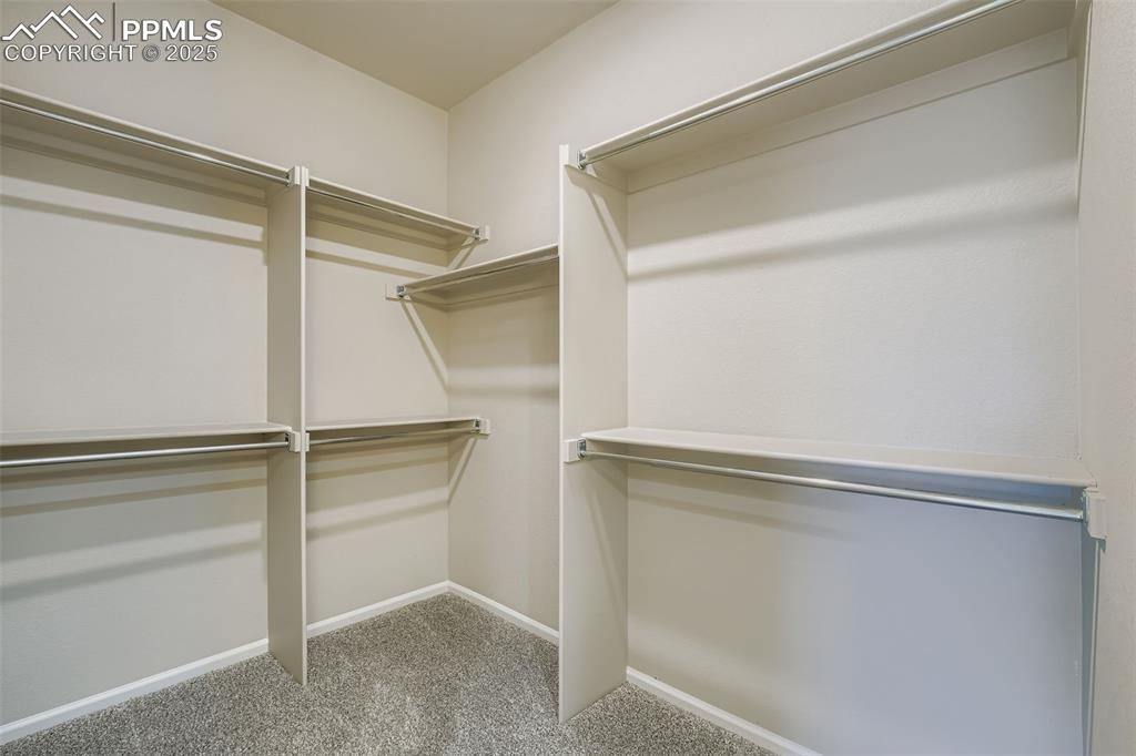 Image 17 of 28: Walk in closet featuring light colored carpet