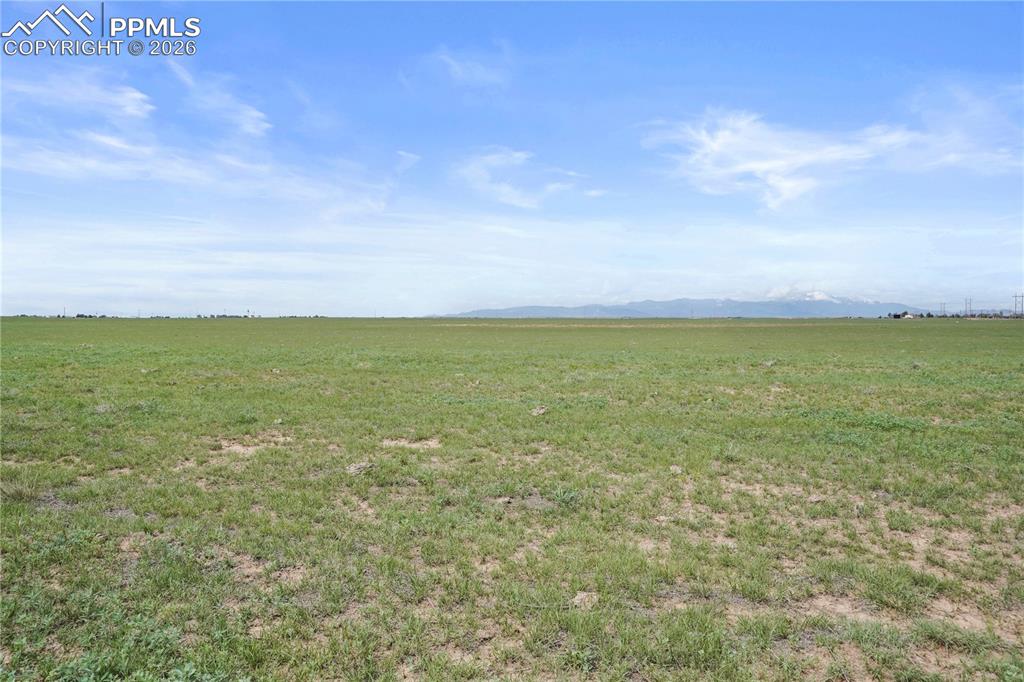 Image 6 of 11: No Description Available