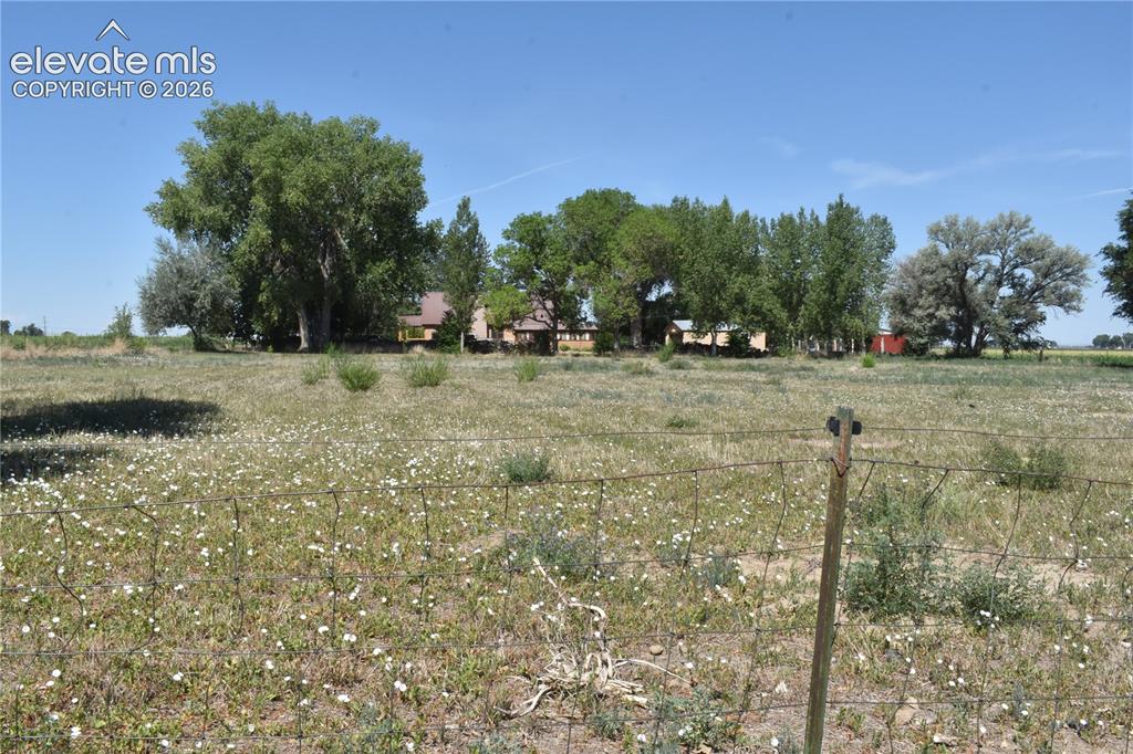 Image 4 of 45: Yard