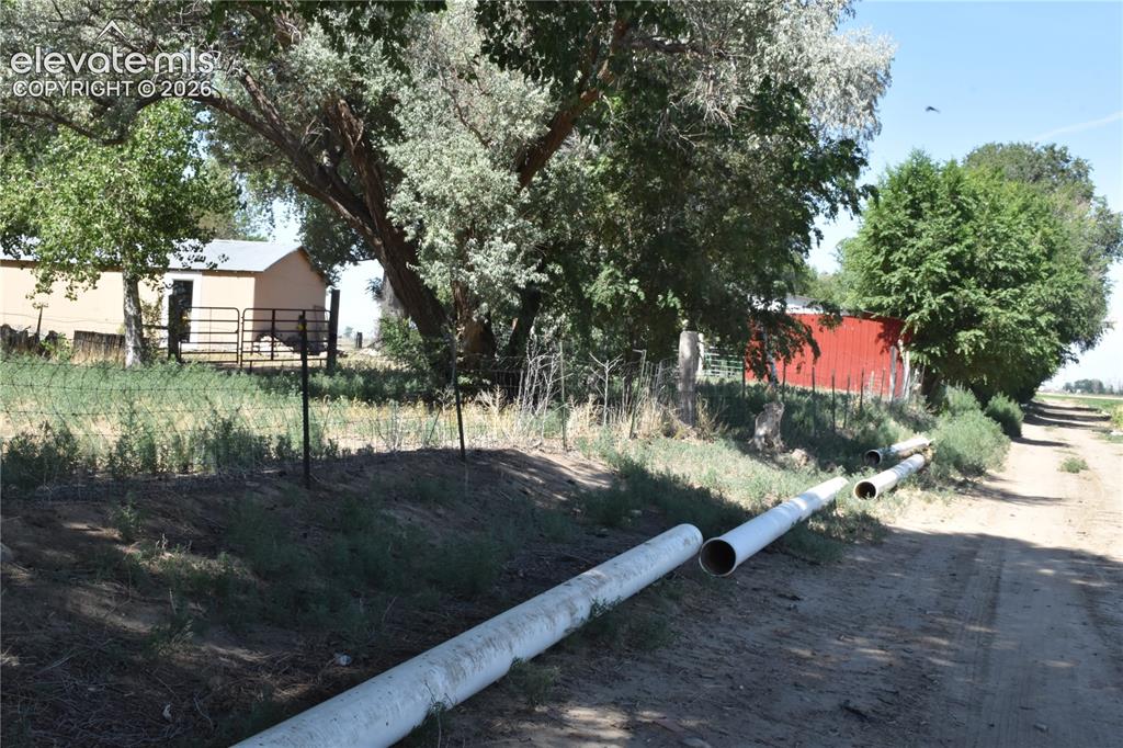 Image 6 of 45: Yard