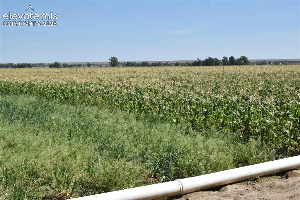 Image 9 of 45: Other