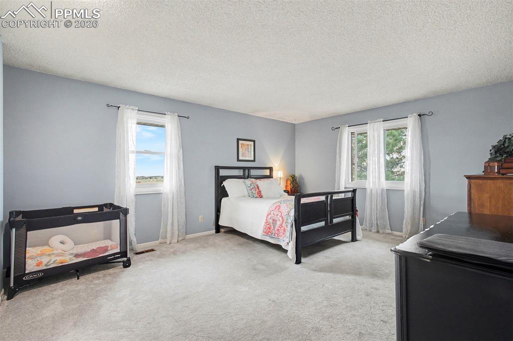 Image 15 of 34: Carpeted bedroom featuring a textured ceiling and multiple windows