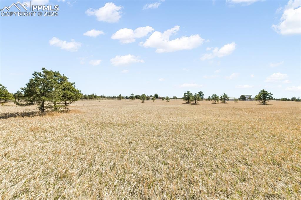 Image 6 of 50: open land 