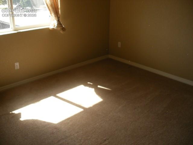 Image 9 of 42: Other