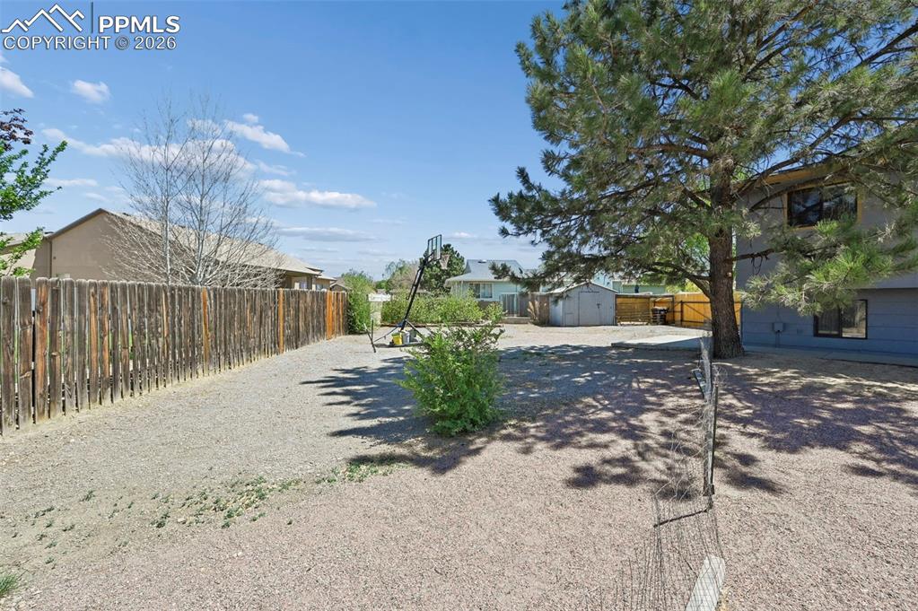 Image 23 of 27: Spacious backyard featuring a privacy fence, a mature tree, and a shed