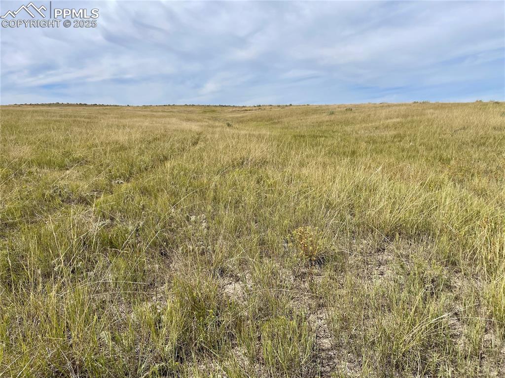 Image 10 of 13: Other