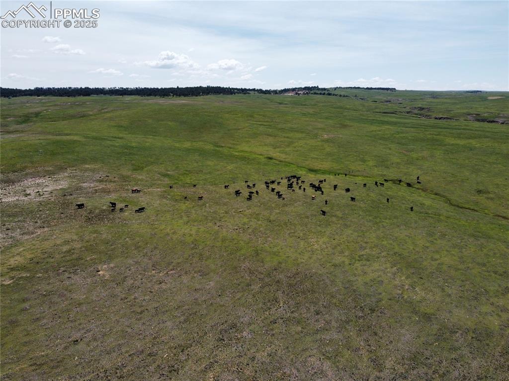 Image 12 of 13: Aerial View