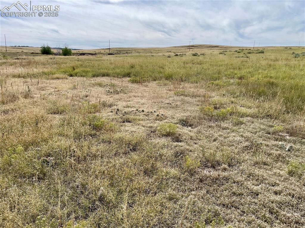 Image 2 of 13: Other