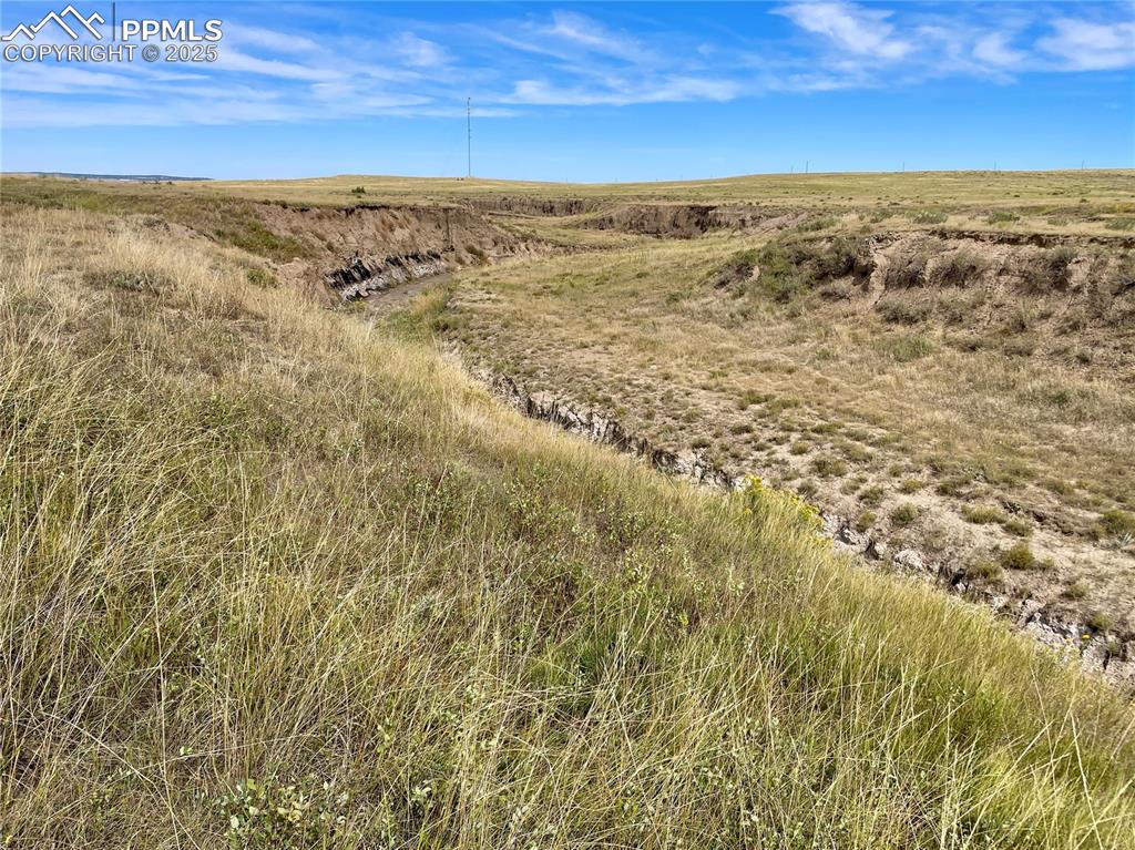 Image 3 of 13: Other