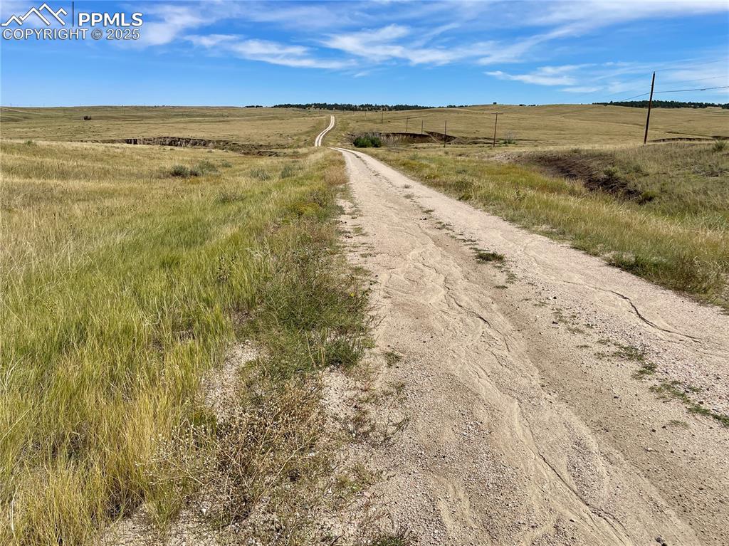 Image 5 of 13: Community