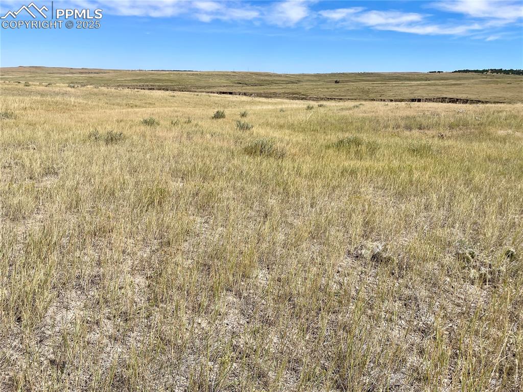 Image 6 of 13: Other