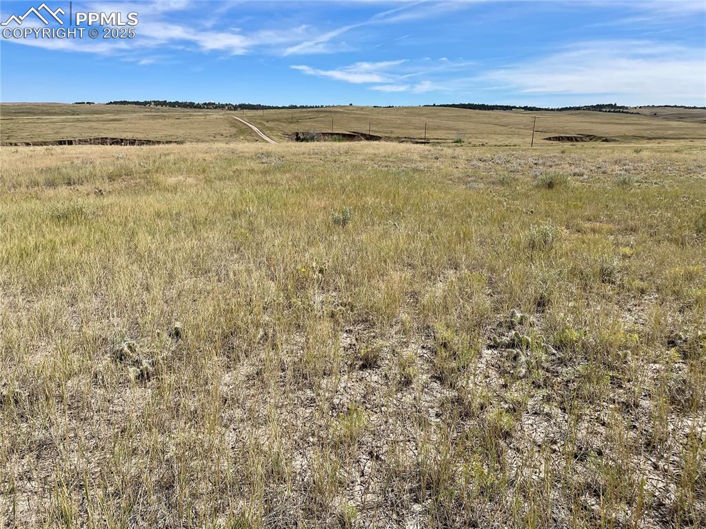 Image 7 of 13: Other