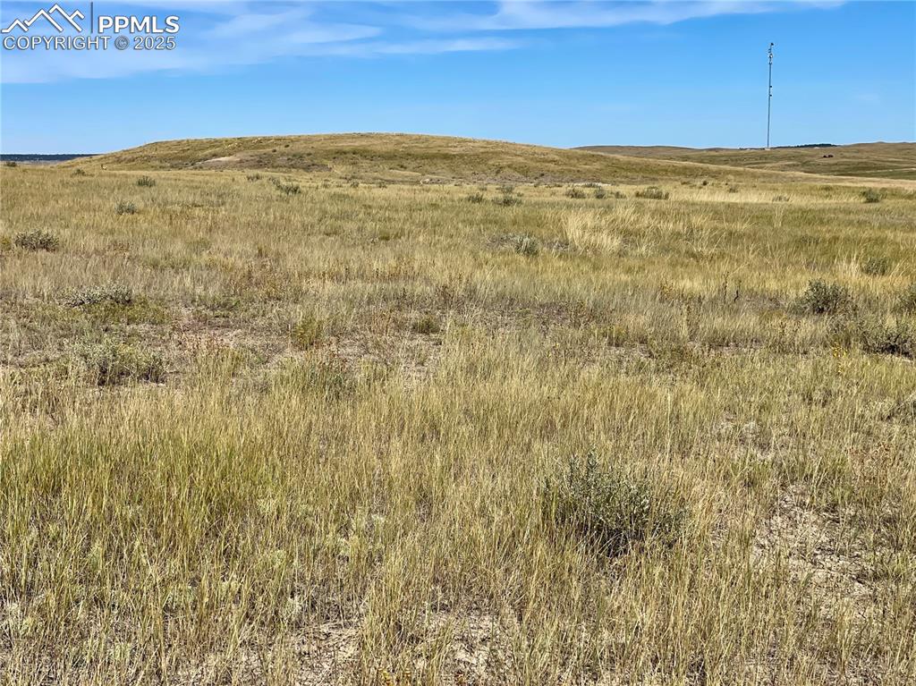 Image 8 of 13: Other