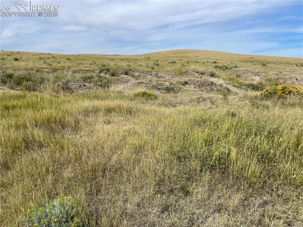 Image 9 of 13: Other