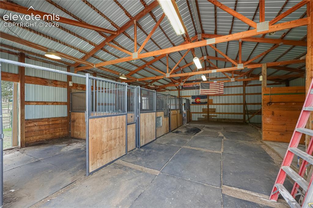 Image 39 of 50: Matted stalls!