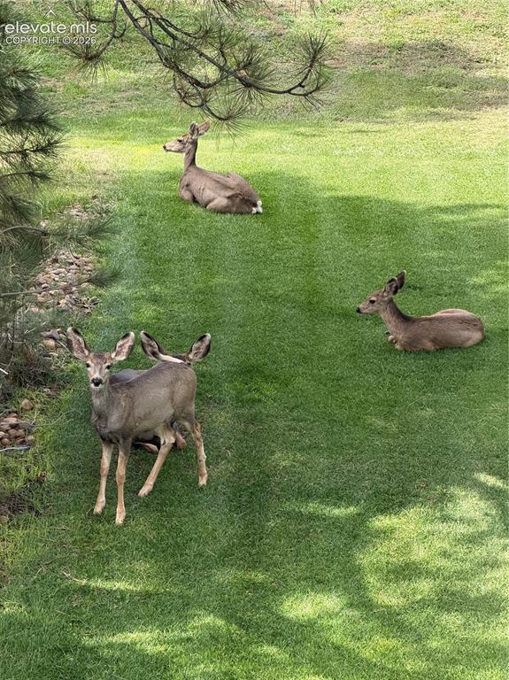 Image 50 of 50: Abundant Wildlife!