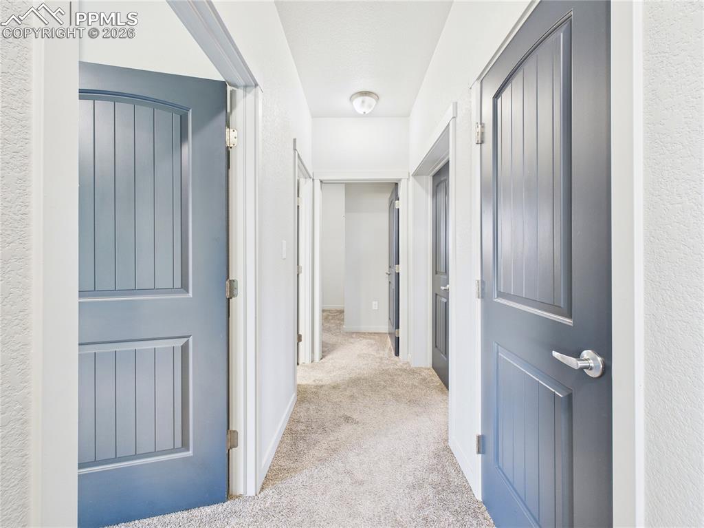 Image 17 of 40: Other