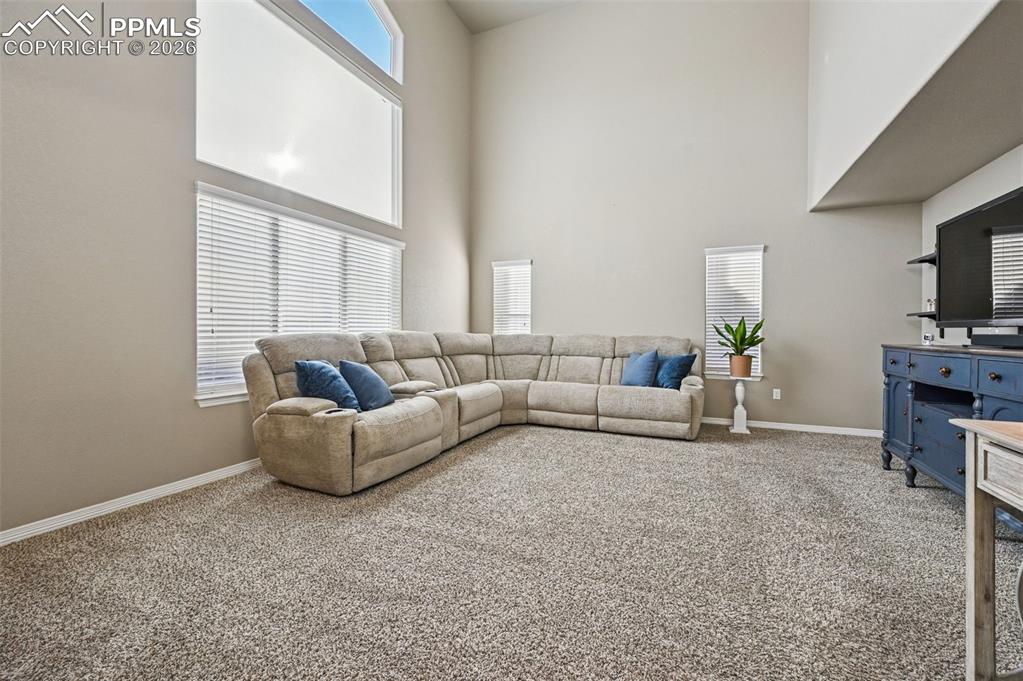 Image 16 of 38: Living room featuring carpet floors and a high ceiling