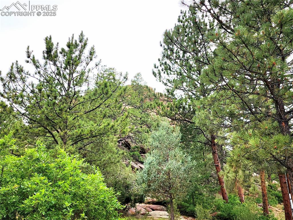 Image 49 of 50: beautiful rock outcroppings behind the home are great for rock climbing