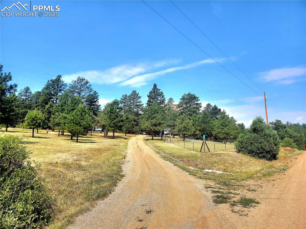 Image 50 of 50: Drievway to property, home is just beyond the trees to the right. Great pri