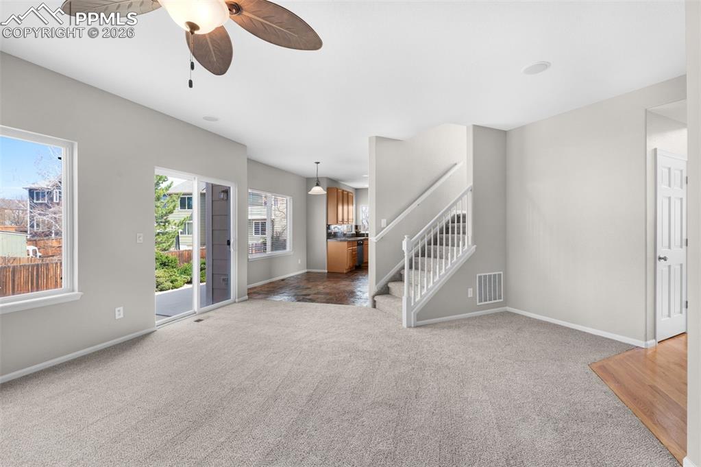 Image 10 of 50: NEW Carpet And Paint