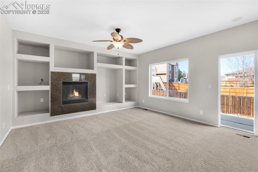 Image 9 of 50: Gas Fireplace