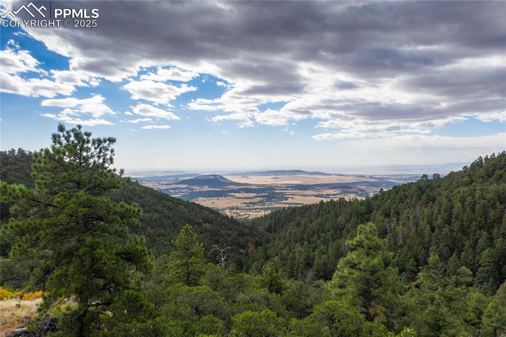 Image 13 of 23: Peaceful natural setting