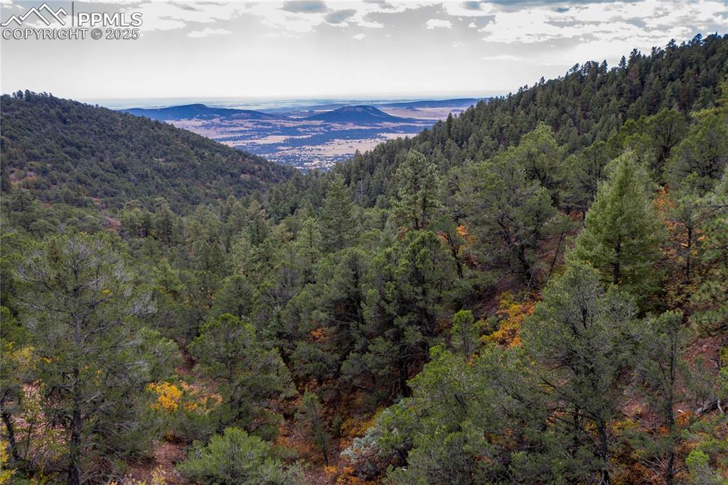 Image 18 of 23: Serene Colorado escape