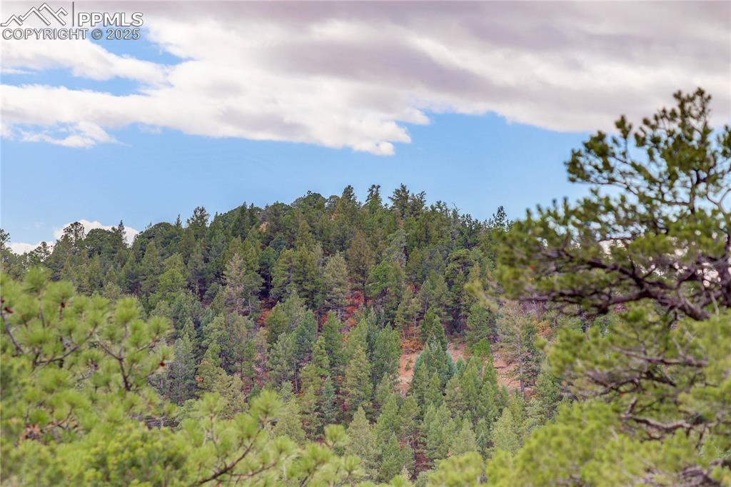 Image 21 of 23: Perfect for a custom Colorado retreat