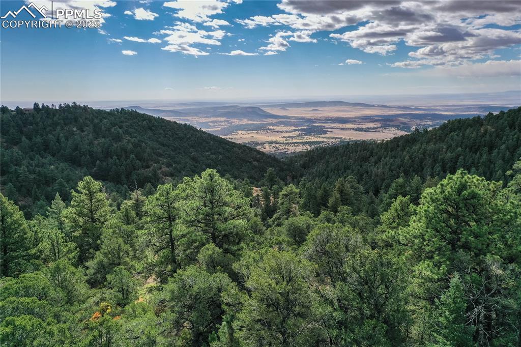 Image 23 of 23: Dual gates lead up to the property