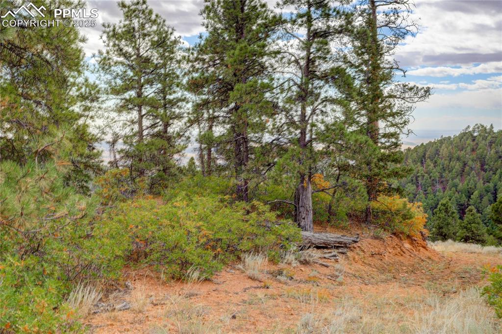 Image 6 of 23: Potential build site near the road