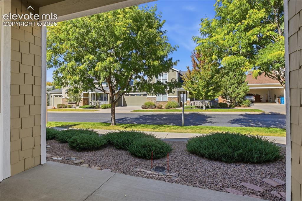 Image 22 of 24: Entry porch with shingle siding, concrete patio, and landscaped front yard 