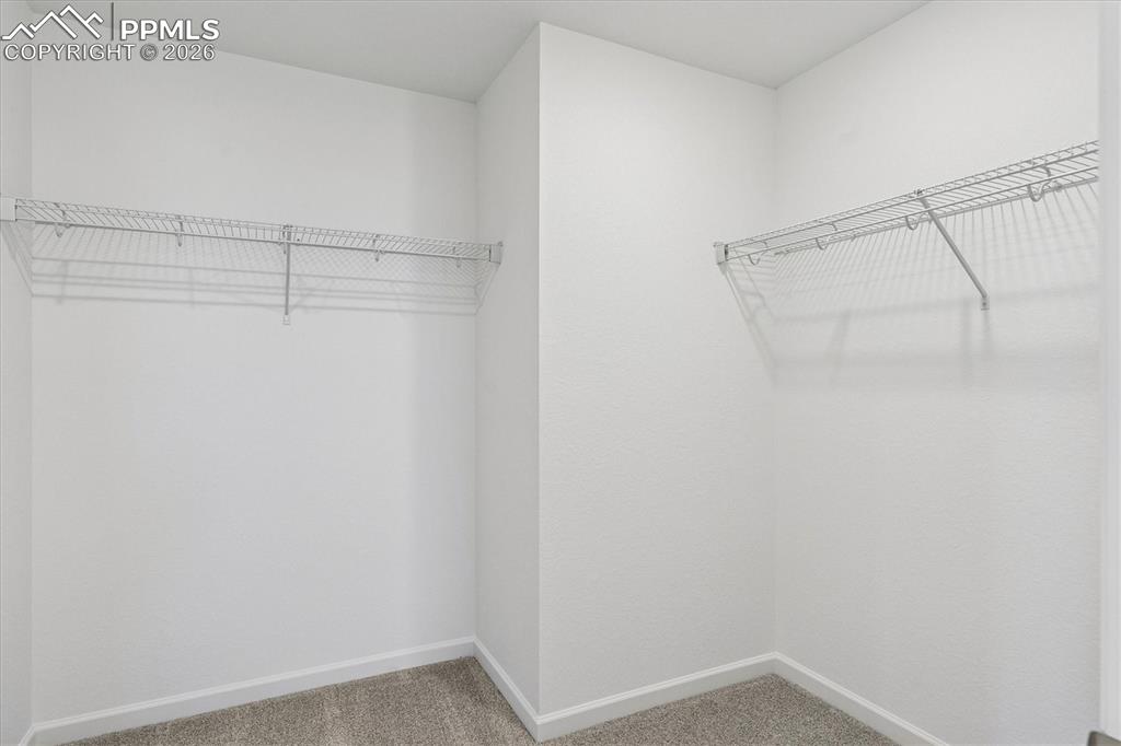 Image 13 of 23: No Description Available