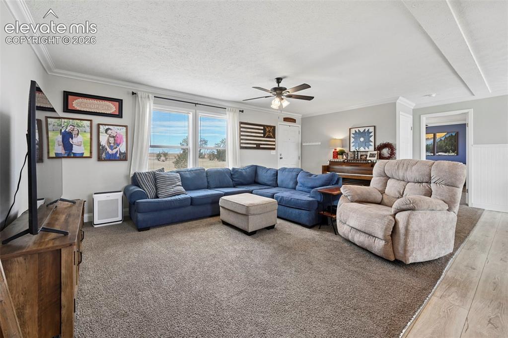 Image 4 of 37: Living Room