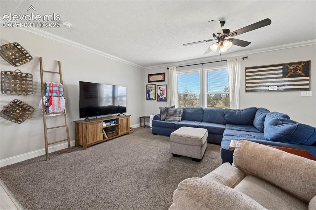 Image 5 of 37: Living Room